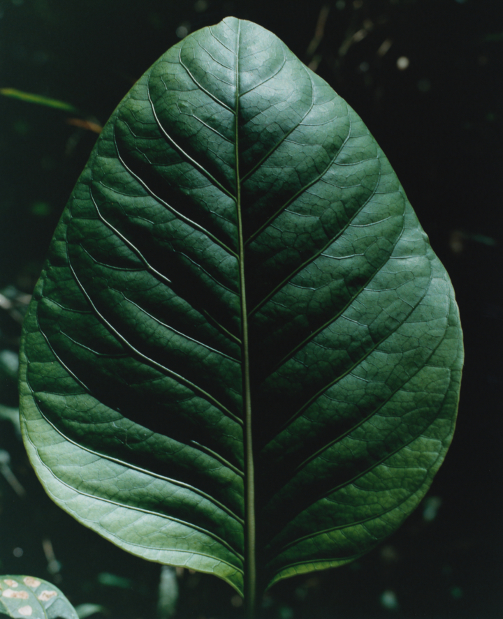 hero gallery image 7