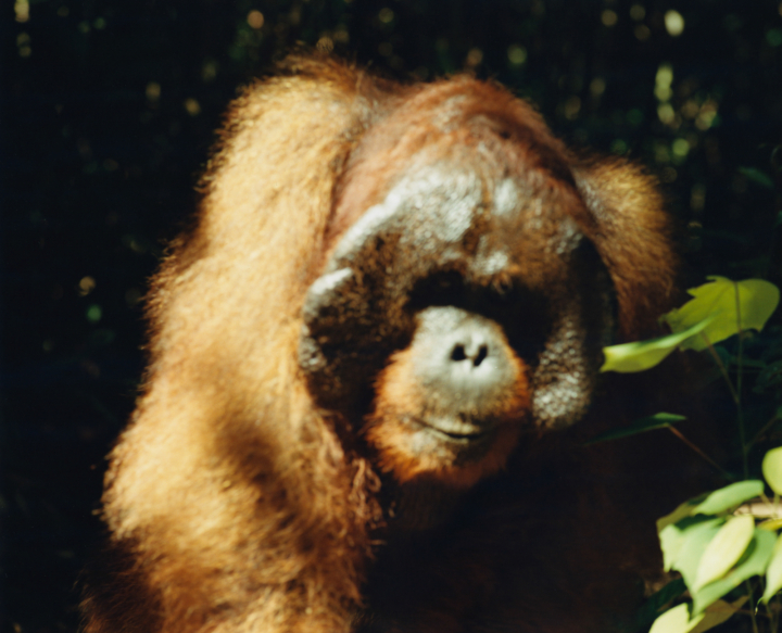 hero gallery image 9