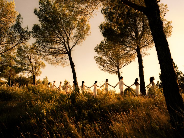 hero gallery image 9