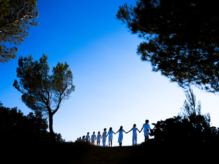 hero gallery image 12