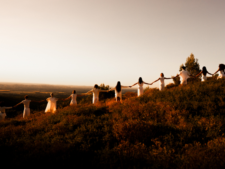 hero gallery image 13