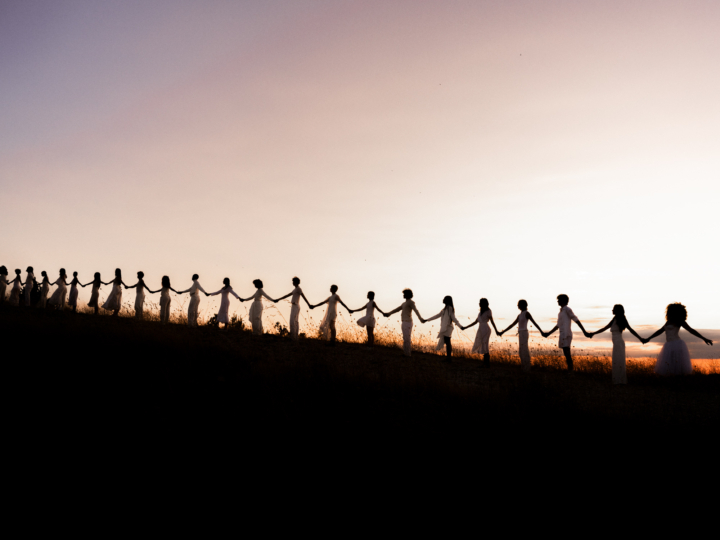 hero gallery image 14