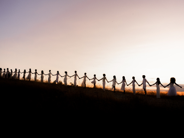 hero gallery image 16