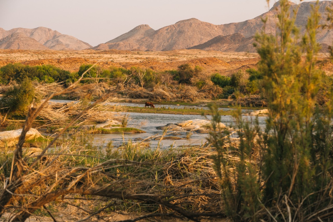 The Orange river and the mountains of South Africa in the distance.