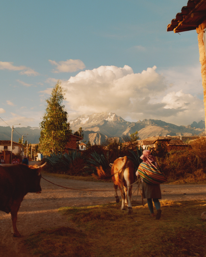 hero gallery image 2