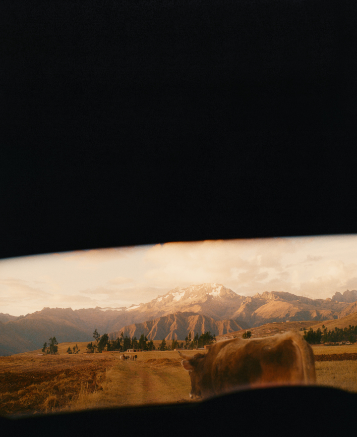 hero gallery image 3