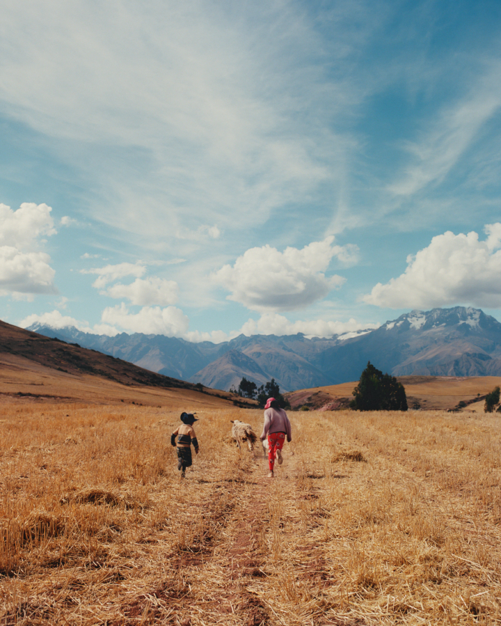 hero gallery image 5