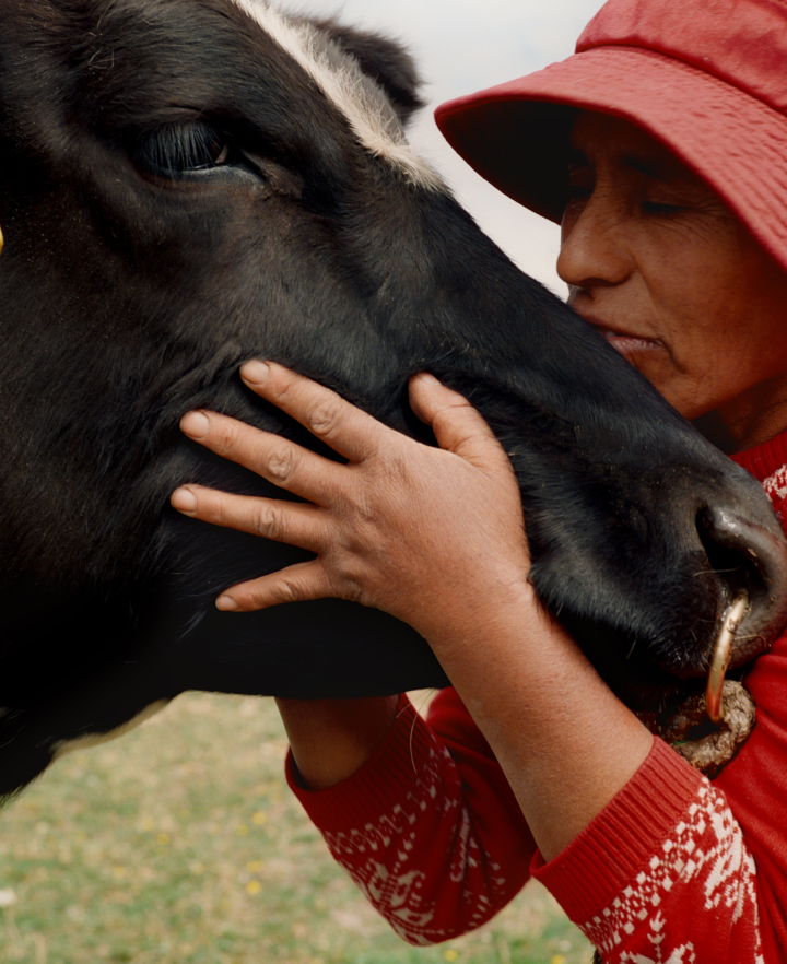 hero gallery image 6