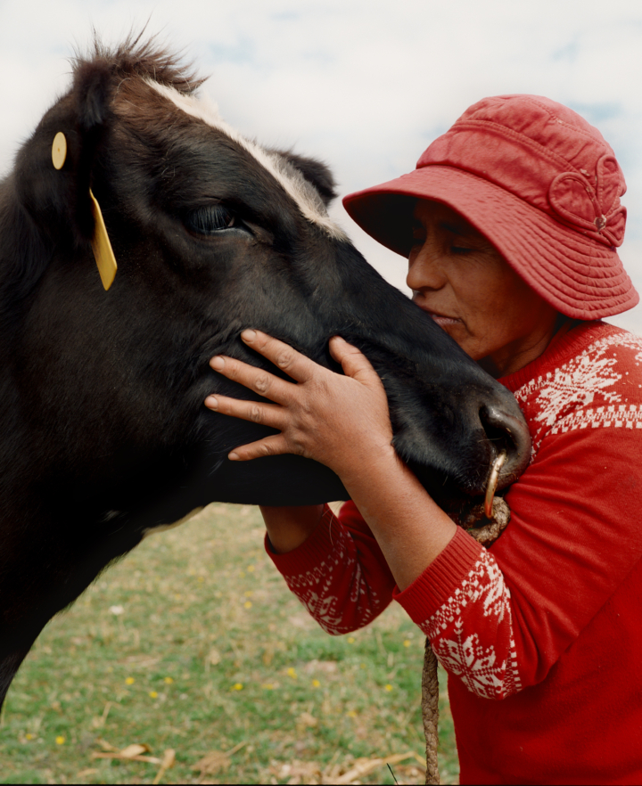 hero gallery image 7