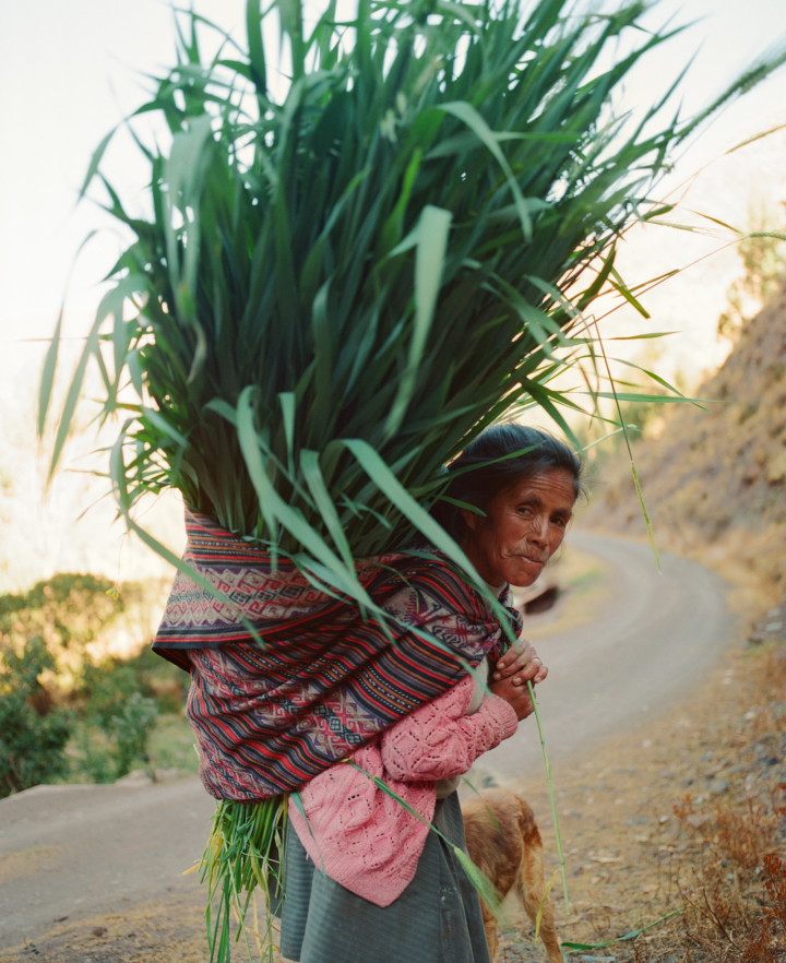 hero gallery image 8