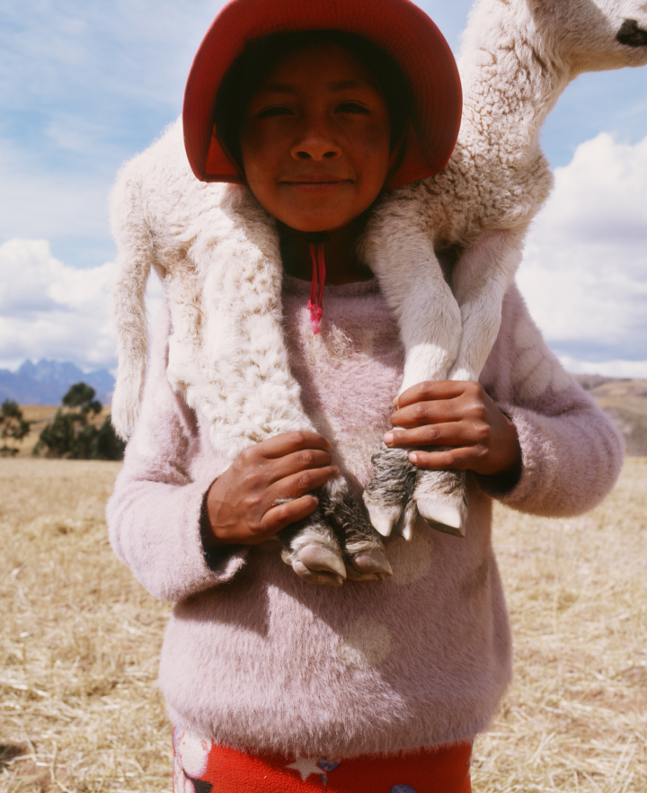 hero gallery image 10