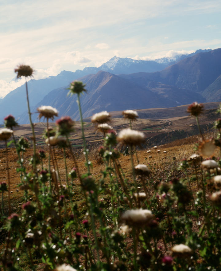 hero gallery image 11