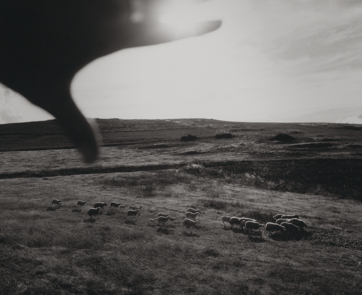 hero gallery image 12