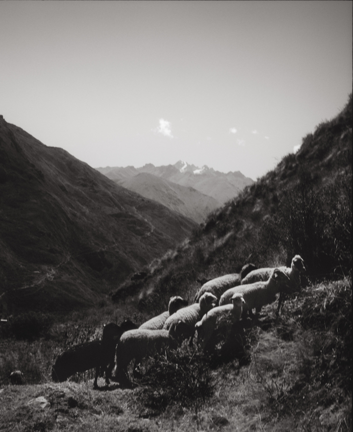 hero gallery image 13