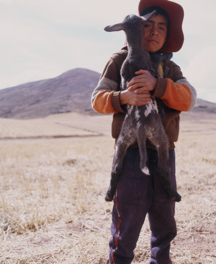 hero gallery image 14