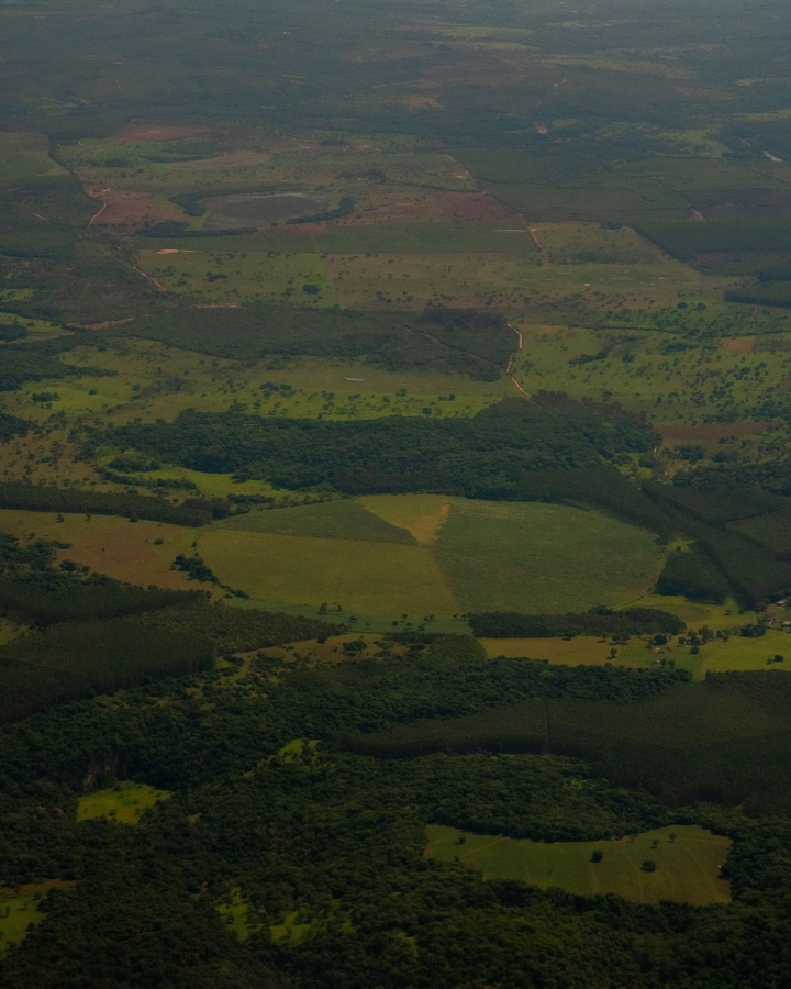 The Race to Grow More Food on Less Land