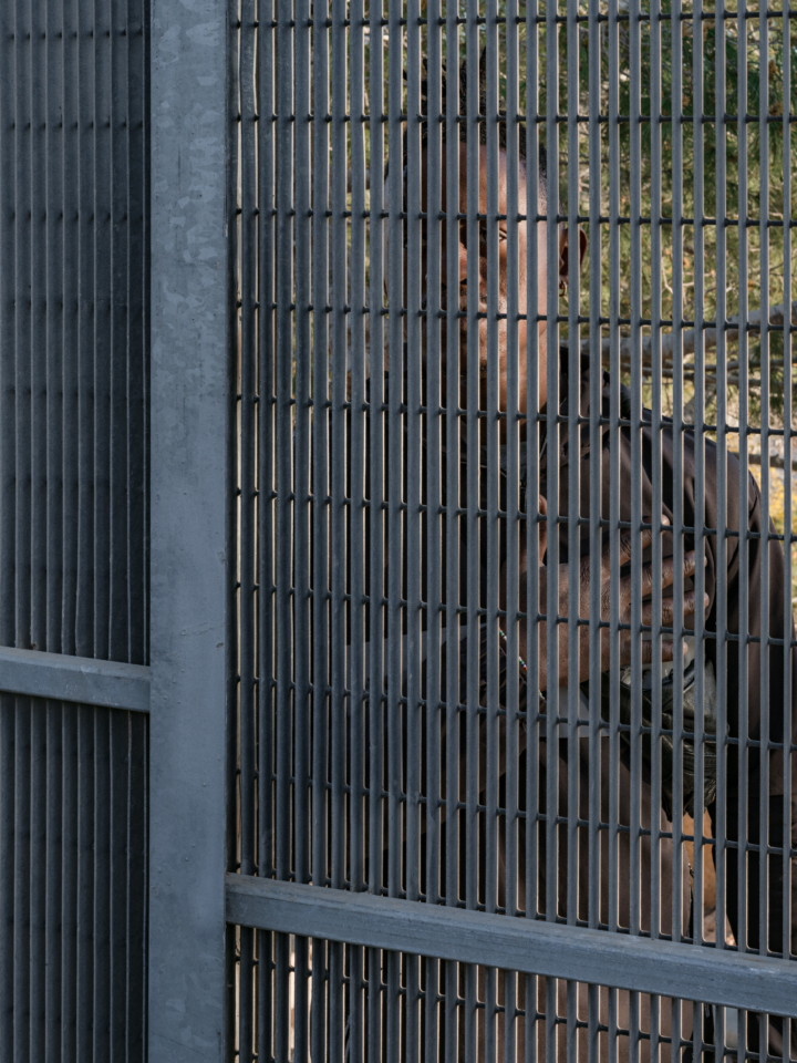 hero gallery image 3