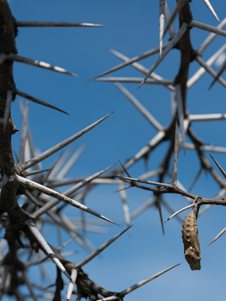 hero gallery image 11