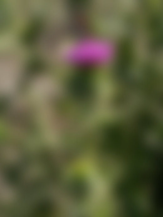 Merchant Ship Passing Zembra, Tunisia, 2023