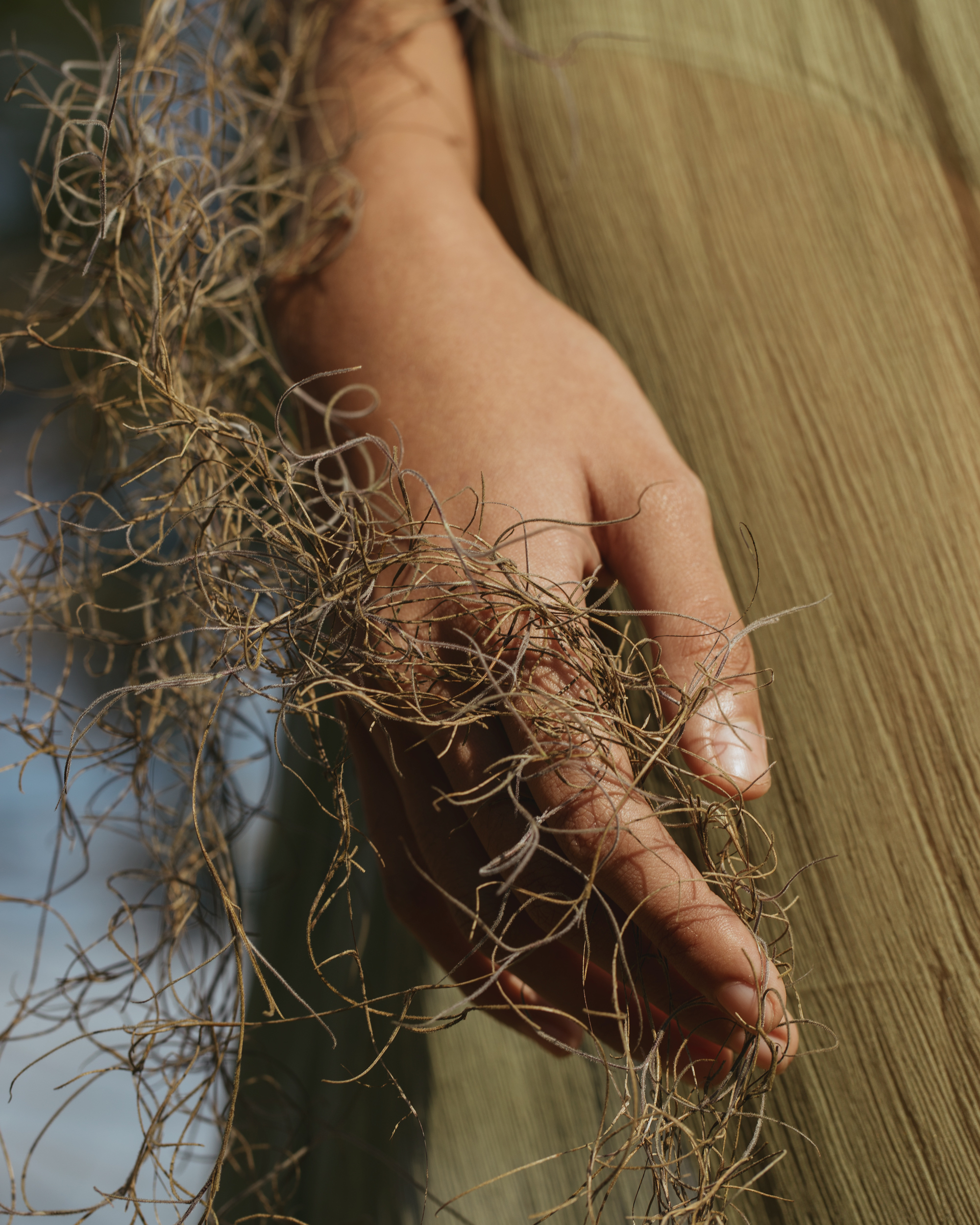 Roxane Gay: How Feminism Grows From Here