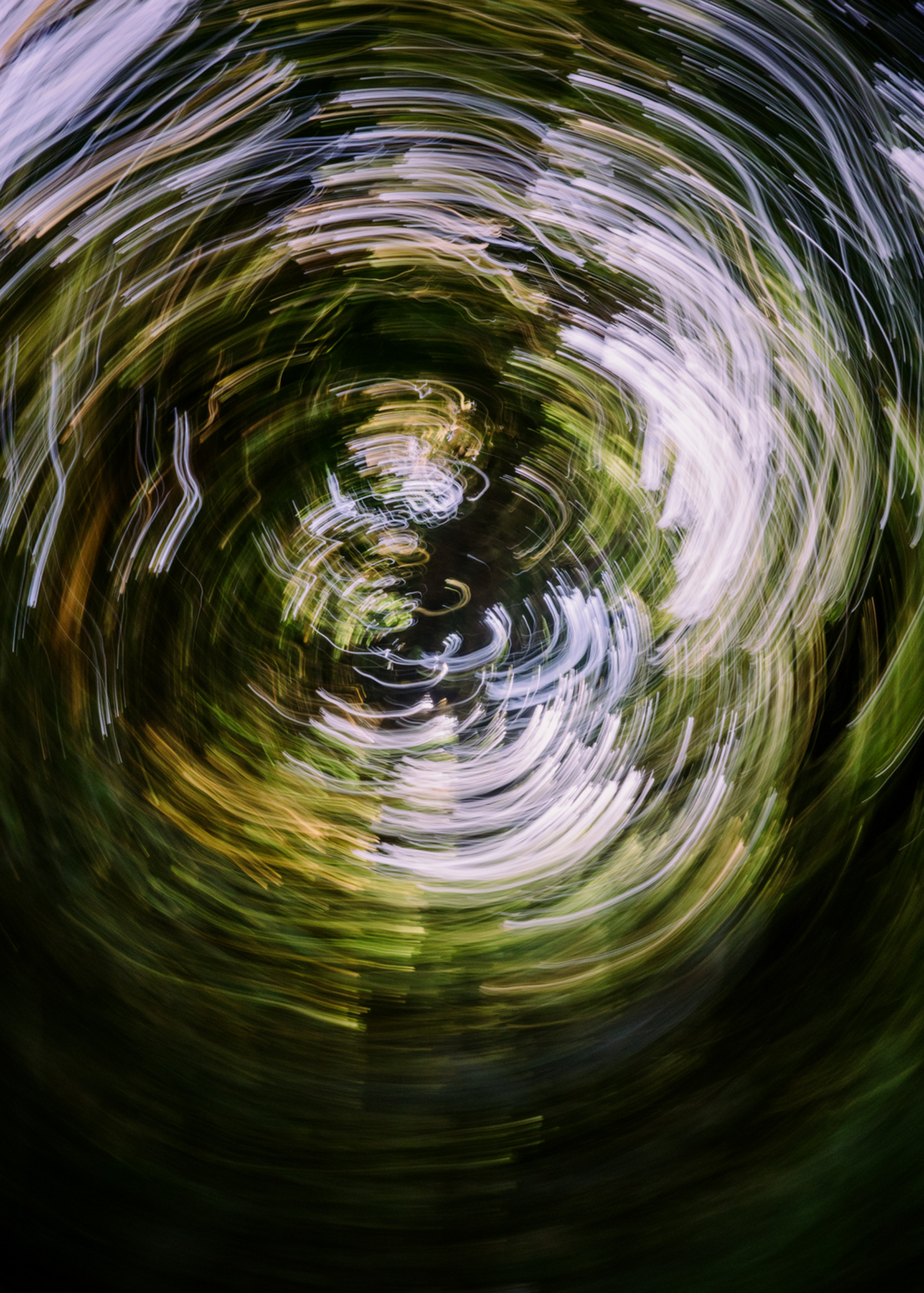 A blurry image of a forest.