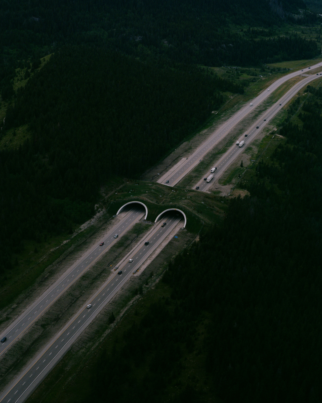 A wildlife crossing in Banff national park.
