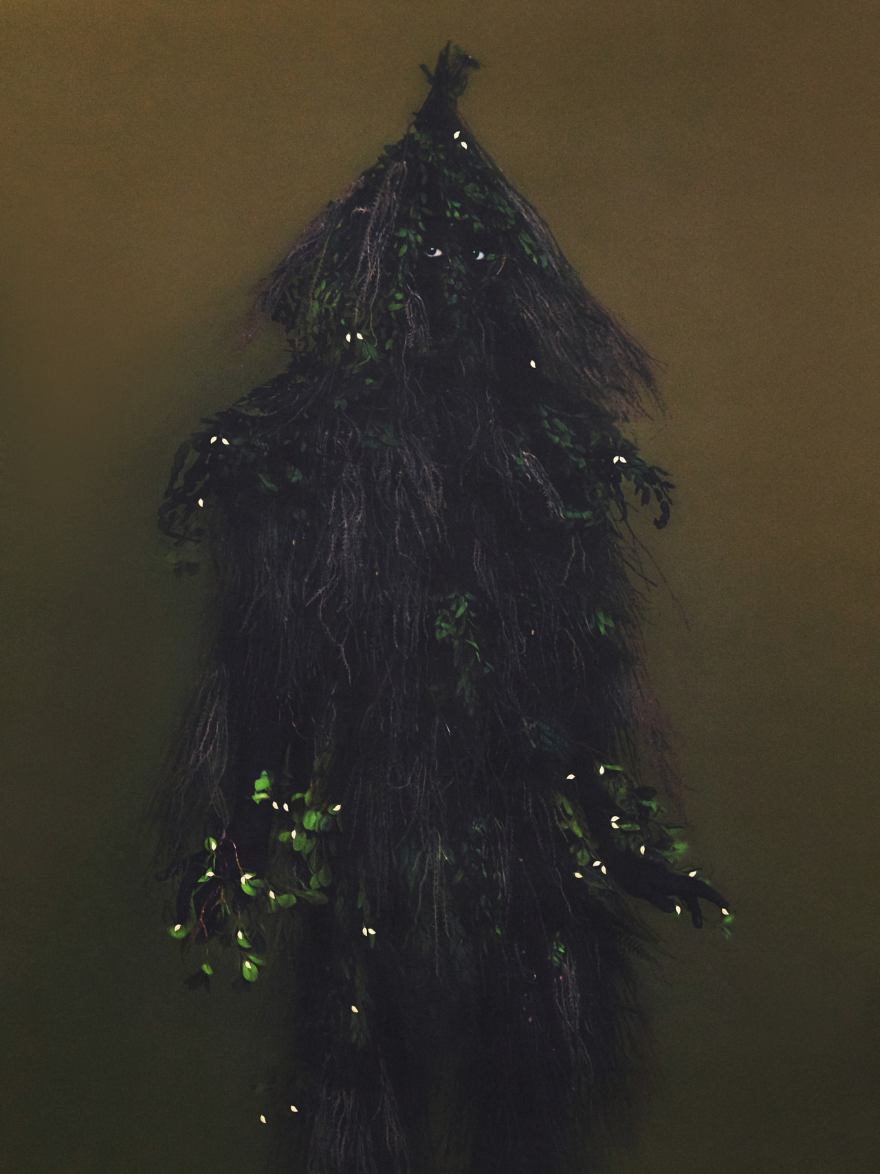 Árbol Dios (Ceiba) by Elliot and Erick Jiménez