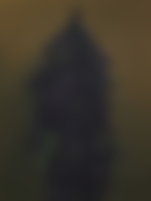 Árbol Dios (Ceiba) by Elliot and Erick Jiménez