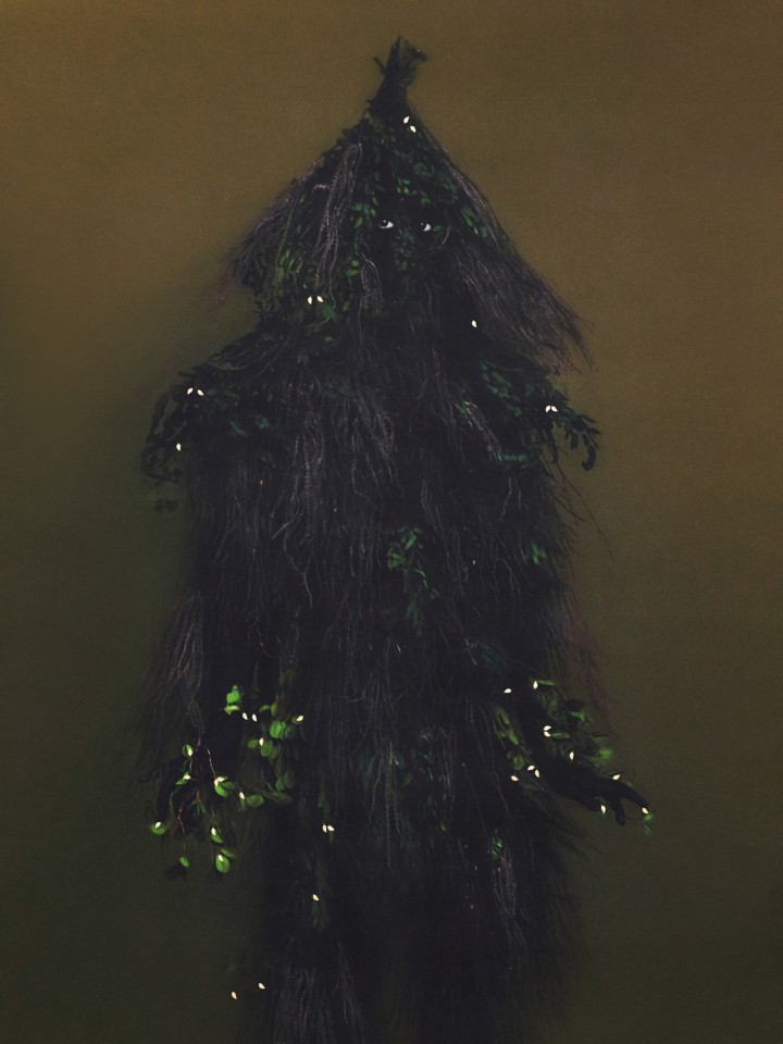 hero gallery image 2