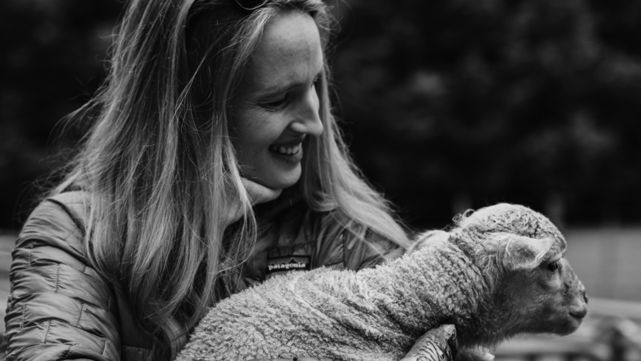 Bouwen aan een project voor regeneratieve mode