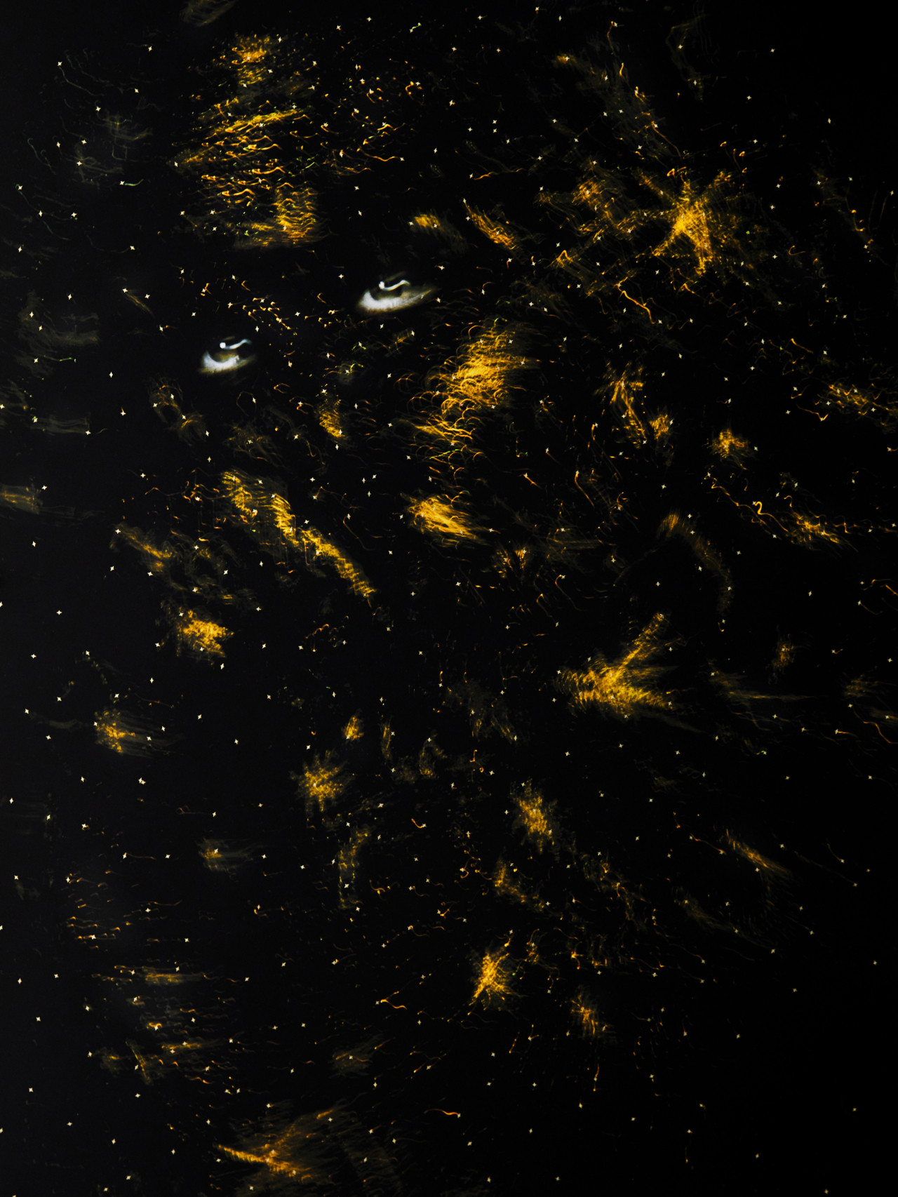 Estrellita reluciente (Little Shining Star) by Elliot and Erick Jiménez