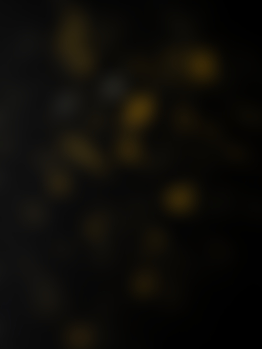 Estrellita reluciente (Little Shining Star) by Elliot and Erick Jiménez