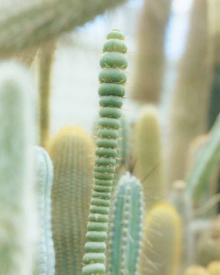 hero gallery image 3