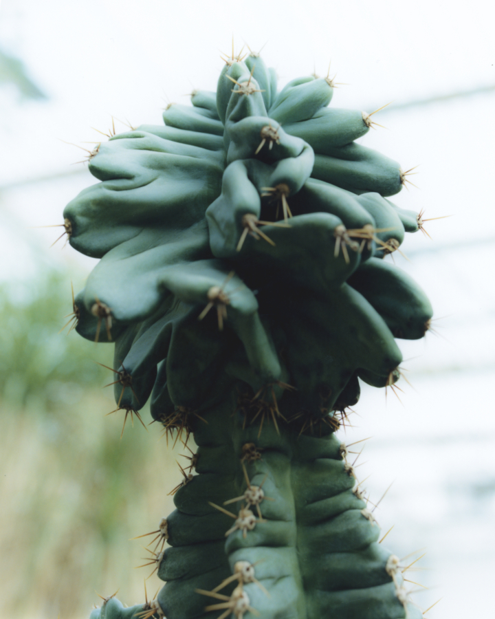 hero gallery image 4