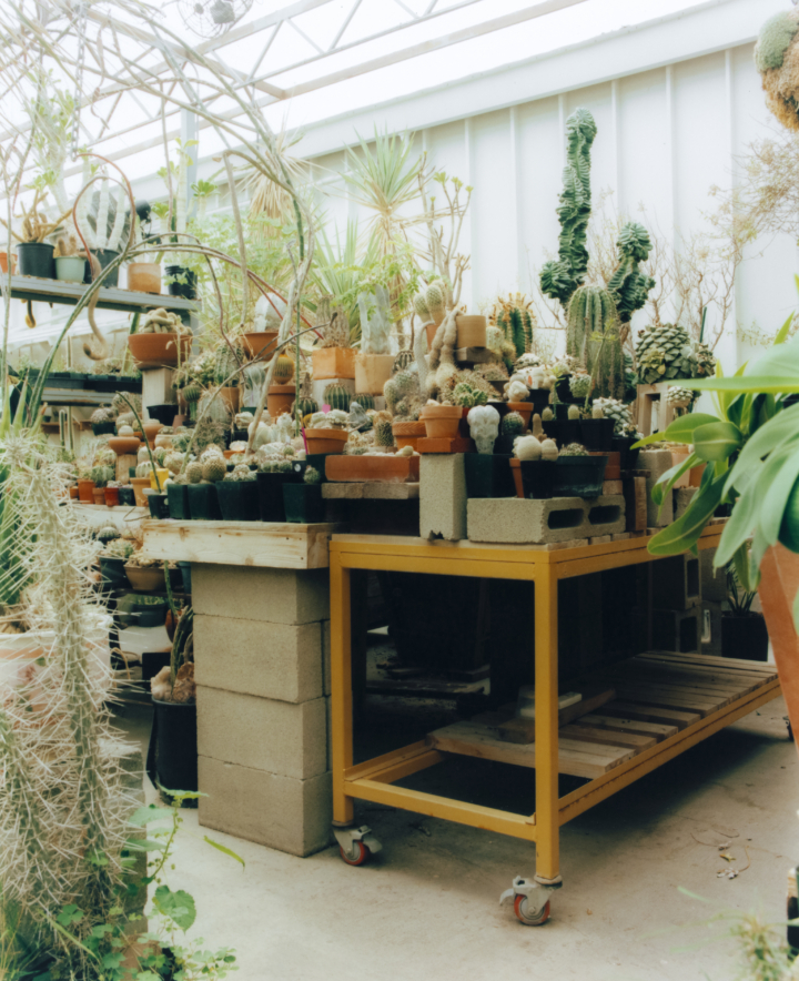 hero gallery image 6