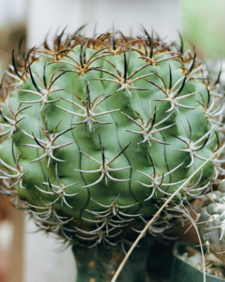 hero gallery image 7