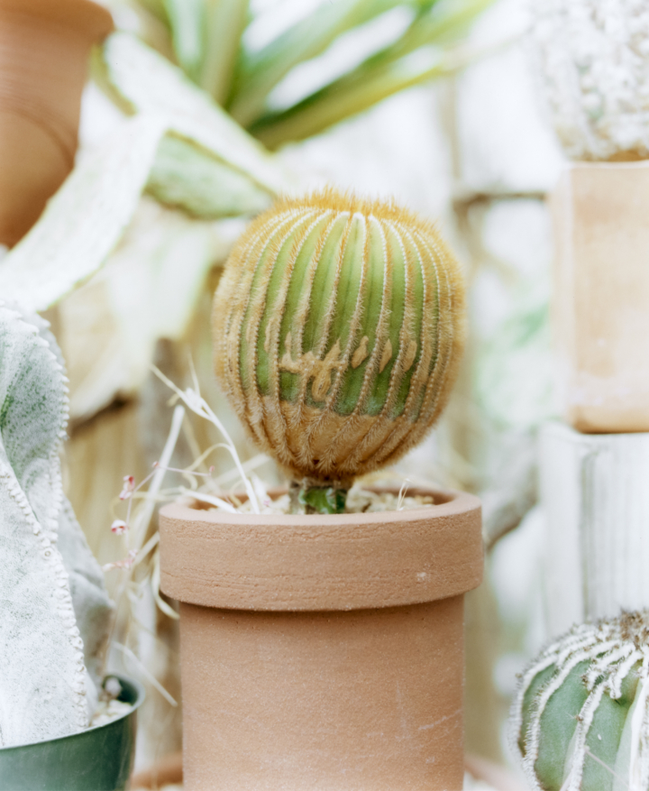 hero gallery image 8