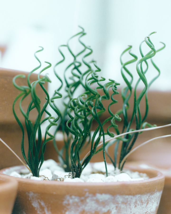 hero gallery image 10