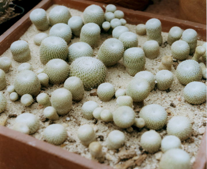 hero gallery image 13