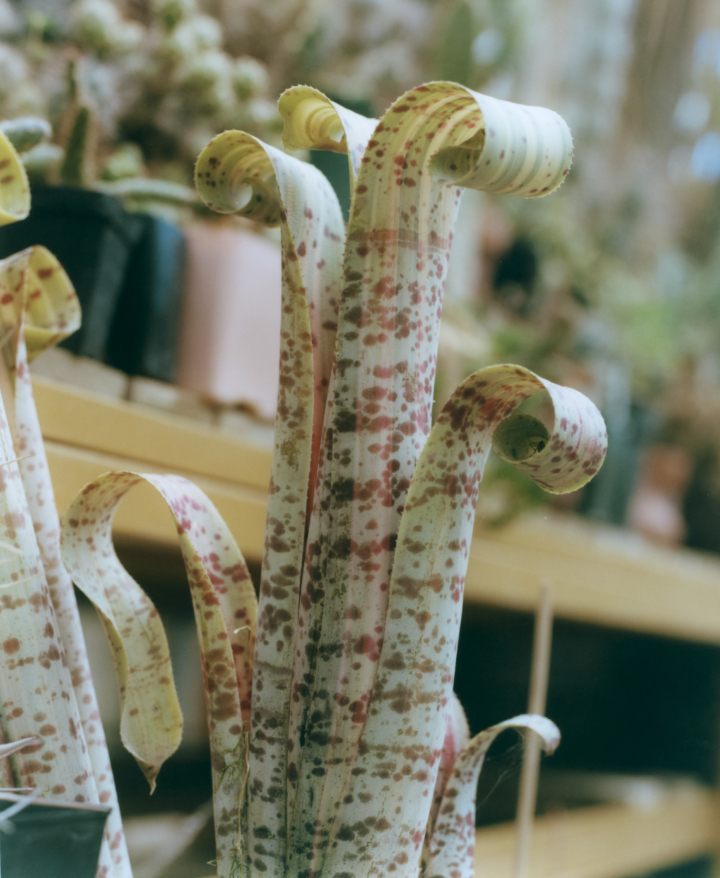 hero gallery image 14