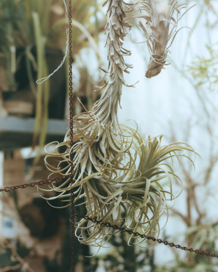 hero gallery image 15