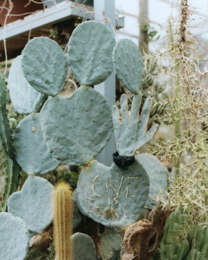 hero gallery image 16