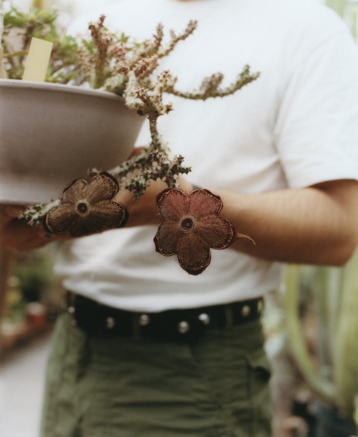 hero gallery image 18