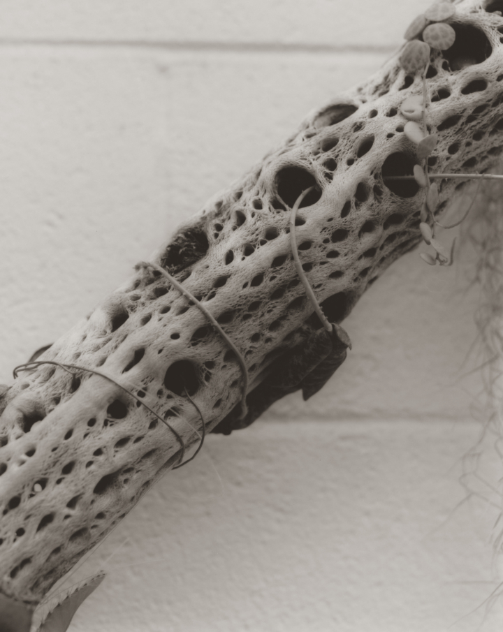 hero gallery image 25