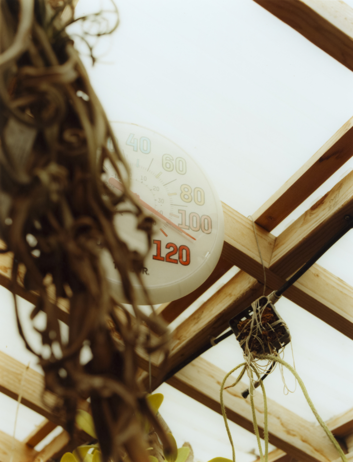 hero gallery image 26