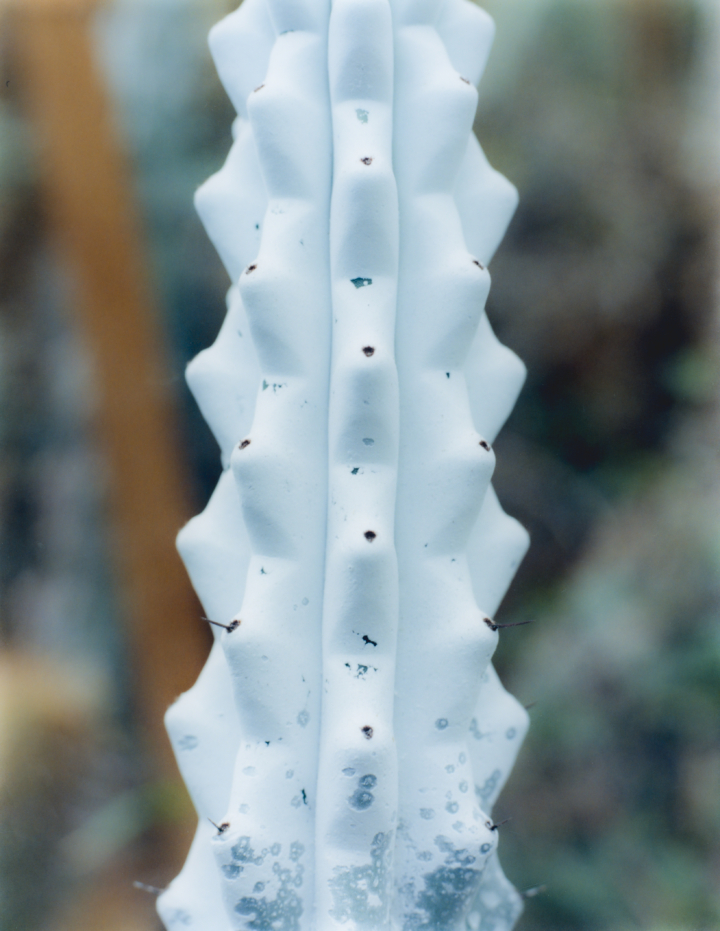 hero gallery image 27