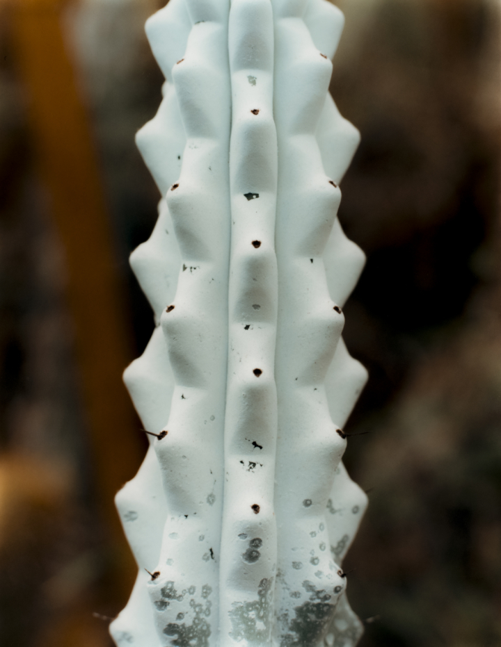 hero gallery image 28