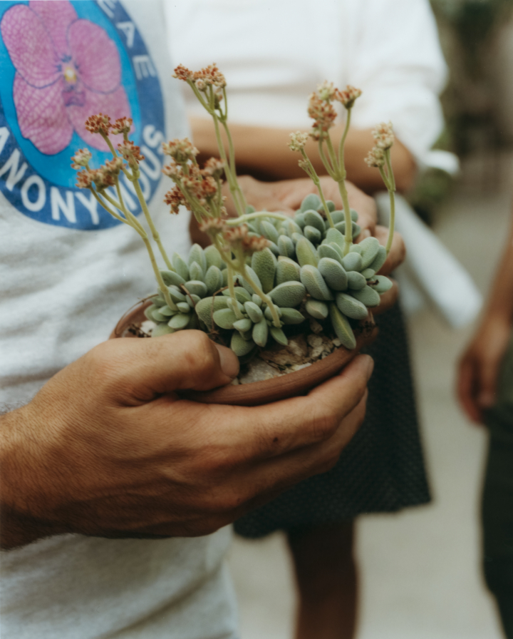 hero gallery image 31