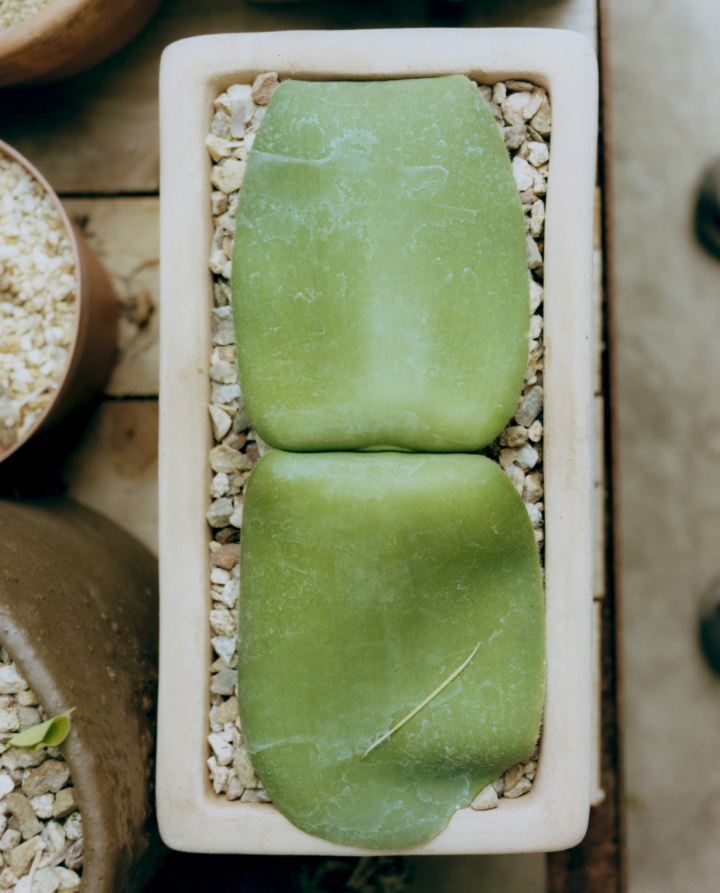 hero gallery image 32