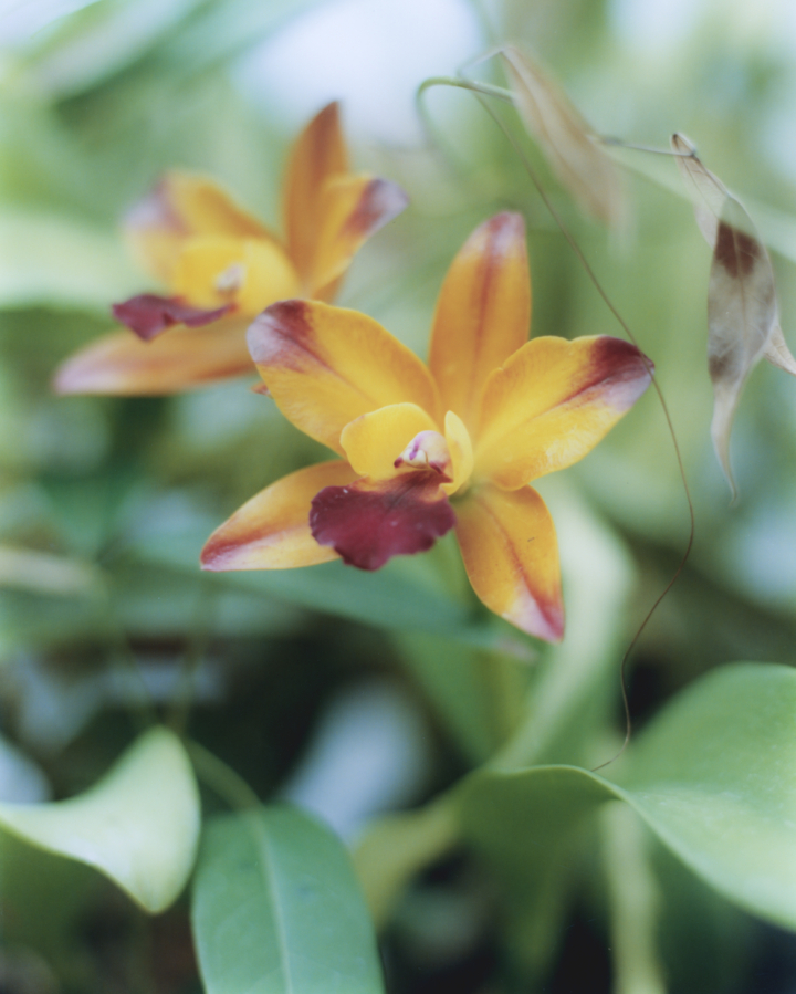 hero gallery image 33